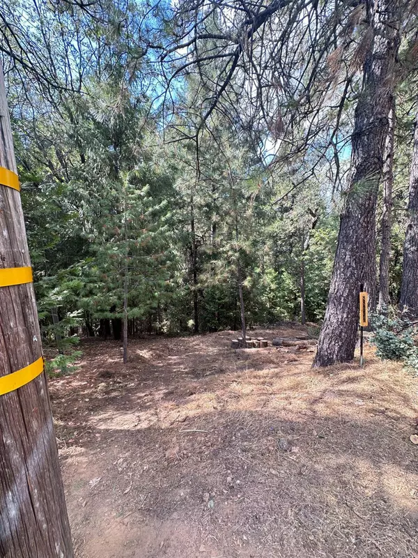 25488 Meadow DR, Pioneer, CA 95666