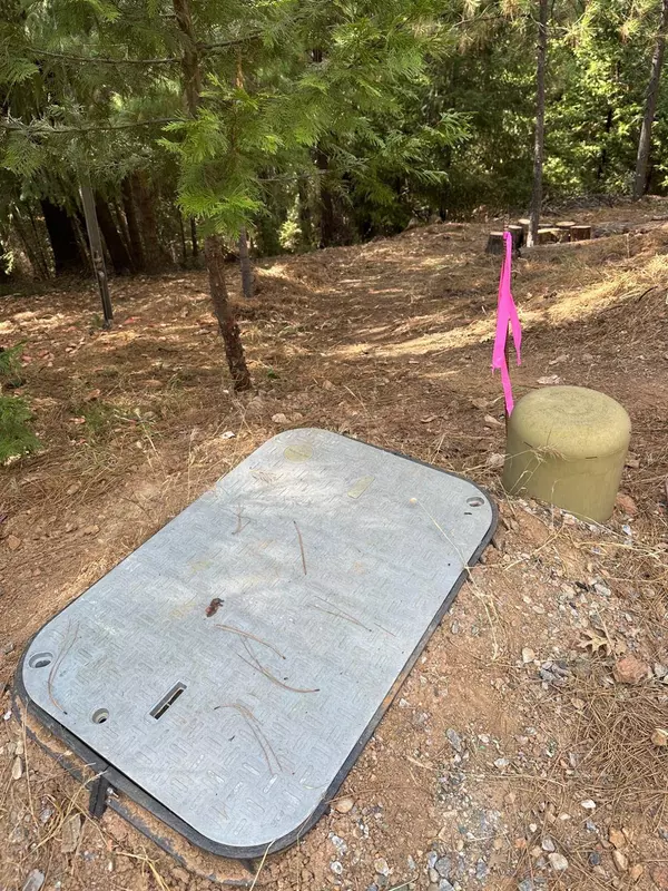 25488 Meadow DR, Pioneer, CA 95666