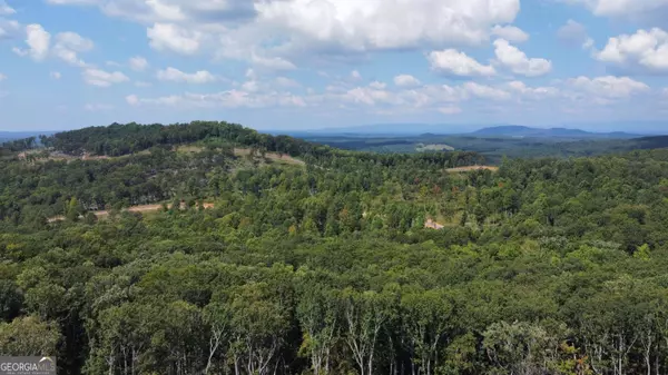 LT229 Highgrove Drive, Talking Rock, GA 30175