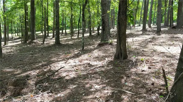 14880 Freemanville (North Lot) RD, Milton, GA 30004