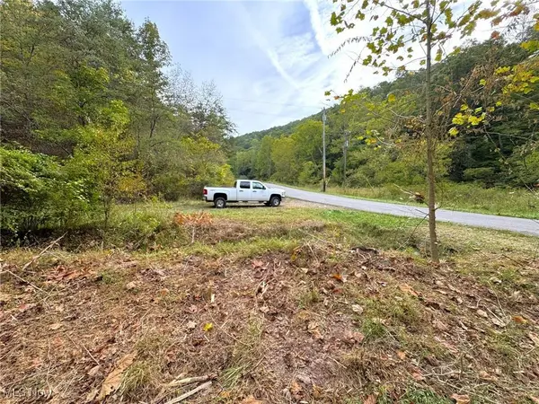 0001 Leading Creek RD, WV 26136