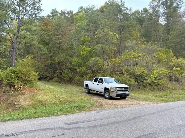 0001 Leading Creek RD, WV 26136