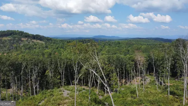 LT229 Highgrove Drive, Talking Rock, GA 30175