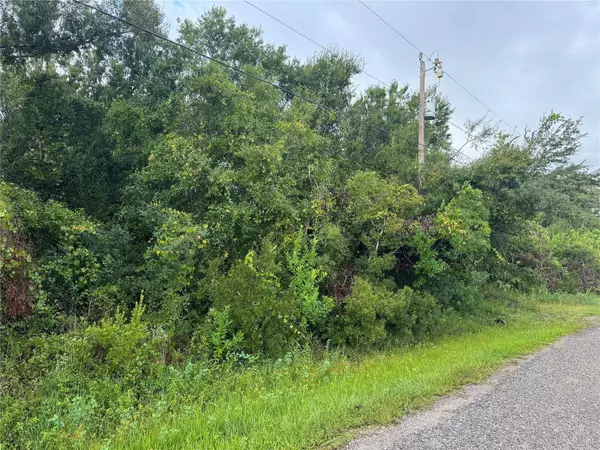 8115 SW NANCY DR, Arcadia, FL 34269