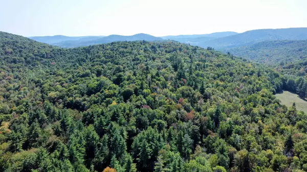 00 Stagecoach RD, Grafton, VT 05146