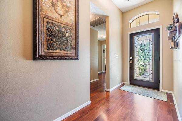 345 TAVERNIER DR, Oldsmar, FL 34677