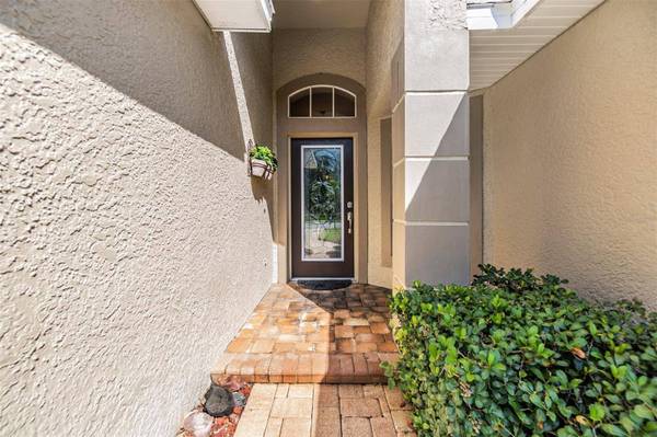 345 TAVERNIER DR, Oldsmar, FL 34677