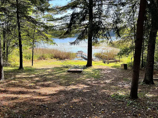 55934 Little Cut Foot Summer RD, Deer River, MN 56636