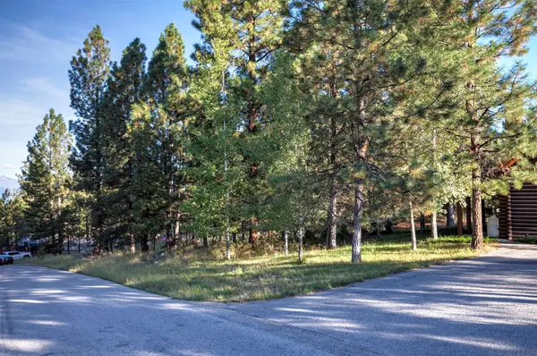 695 Pallo TRL, Hamilton, MT 59840