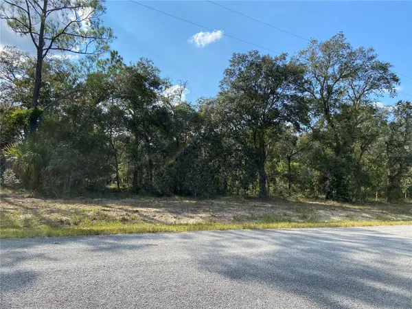 TBD WILLOW RD, Dunnellon, FL 34431