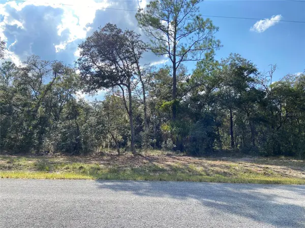 TBD WILLOW RD, Dunnellon, FL 34431
