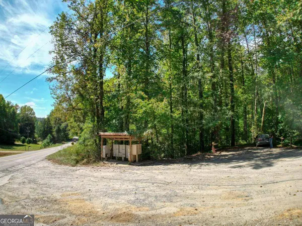 14 & 15 Big Ben RD, Ellijay, GA 30540
