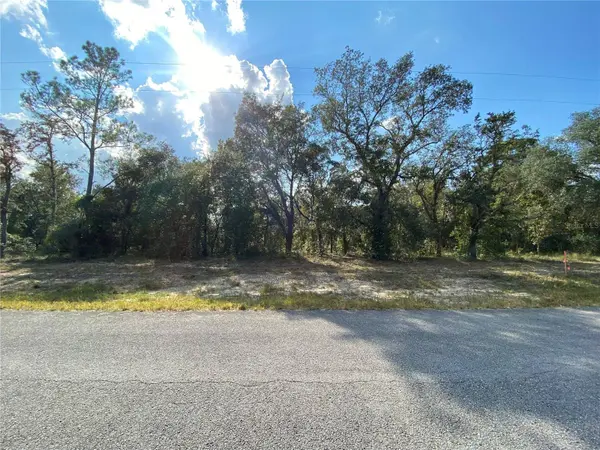 TBD WILLOW RD, Dunnellon, FL 34431
