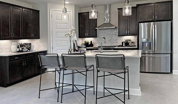 195 BULL FROG LN, Umatilla, FL 32784