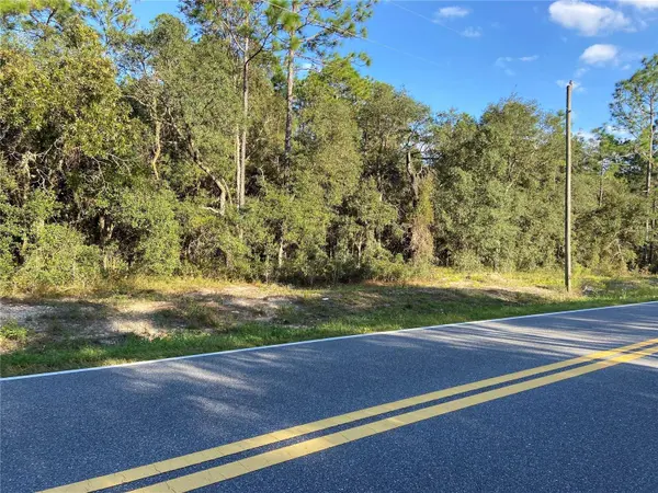 TBD NW RIDGEWOOD RD, Dunnellon, FL 34431