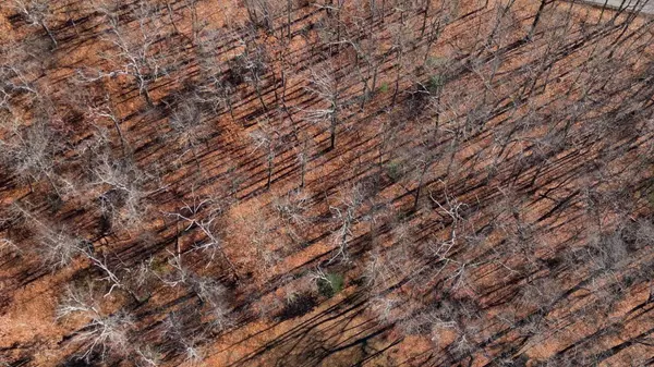 7911 Hixson Springs RD, Signal Mountain, TN 37377