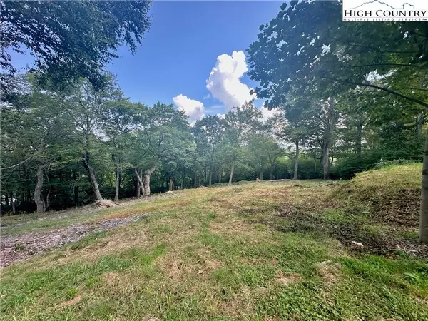 239 Thunder Wood TRL, Blowing Rock, NC 28605