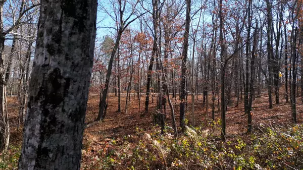 7911 Hixson Springs RD, Signal Mountain, TN 37377