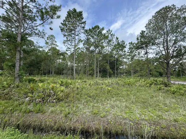 10625 Yeager Ave, Hastings, FL 32145