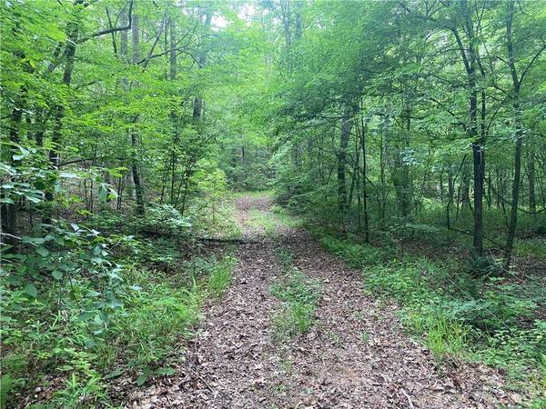 0 Kelly Bridge RD, Dawsonville, GA 30534