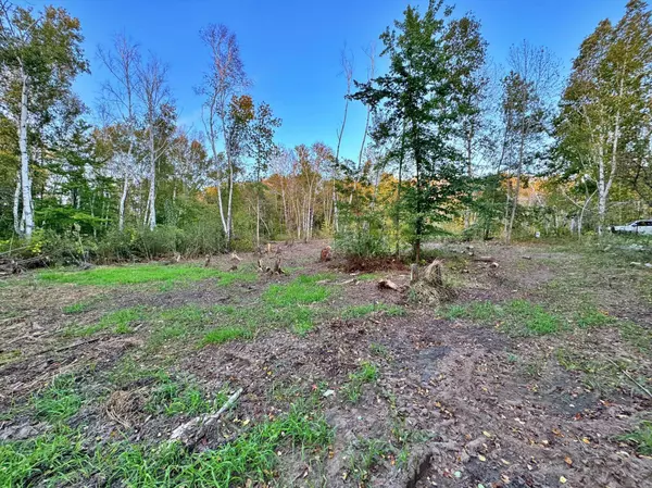 XXX LOT D ASH CT, Garrison, MN 56450