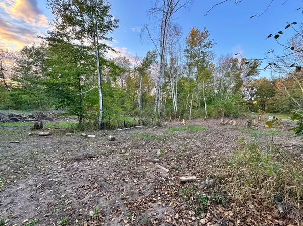XXX LOT D ASH CT, Garrison, MN 56450