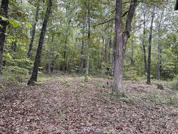 40 Acres in Mammoth Spring Arkansas