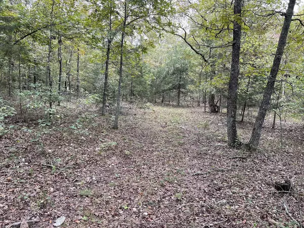 40 Acres in Mammoth Spring Arkansas