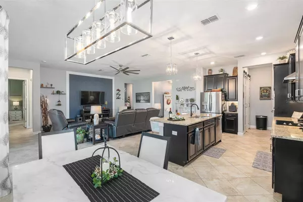 31565 CABANA RYE AVE, San Antonio, FL 33576