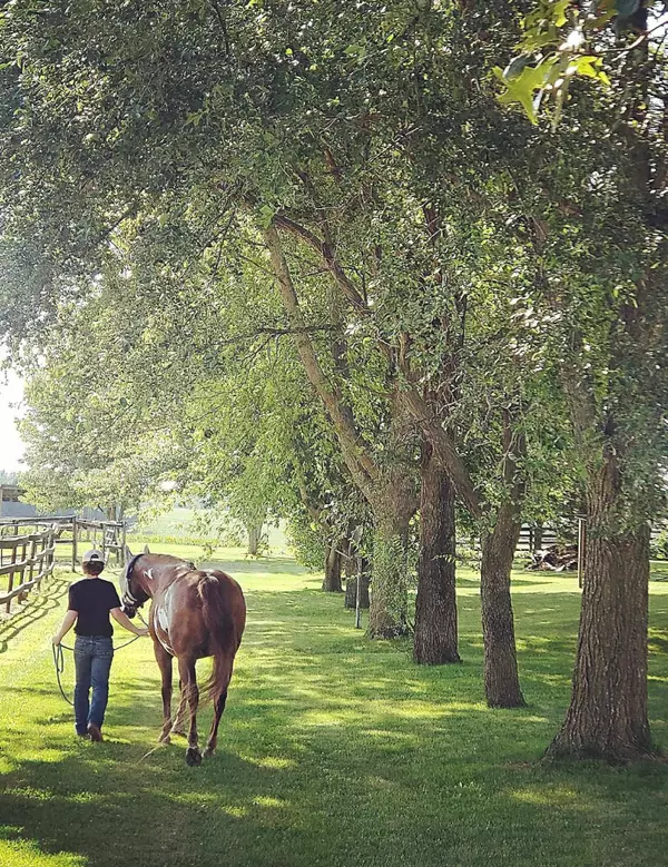 5529 Langer Road, Marshall, WI 53559