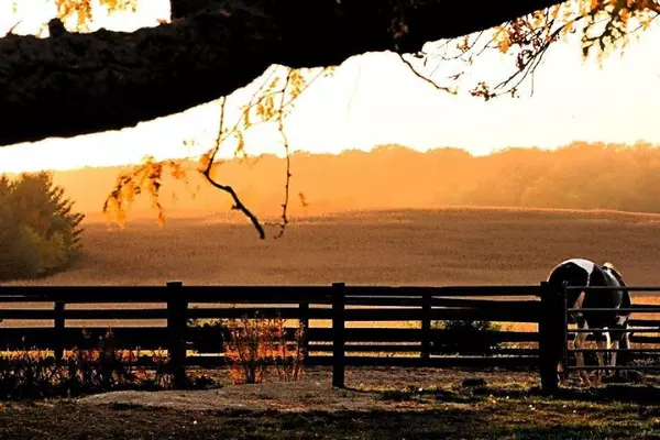 5529 Langer Road, Marshall, WI 53559