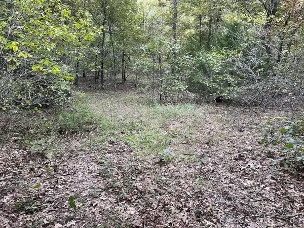 40 Acres in Mammoth Spring Arkansas