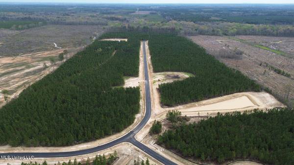 749 Freedom Ridge Lane, Brandon, MS 39047