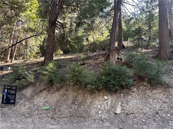 0 Alder Terrace, Cedar Glen, CA 92321