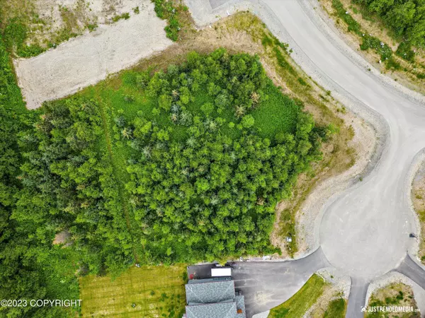 L18 B2 E Windy Woods LOOP, Palmer, AK 99645