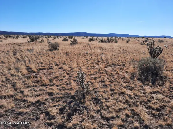 Lot 1434 Sierra Verde Ranch, Seligman, AZ 86323