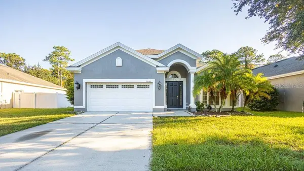 10856 ARBOR VIEW BLVD, Orlando, FL 32825