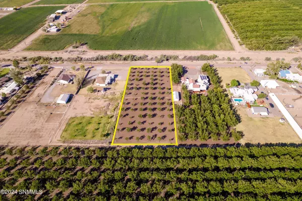 1590 N Vinton RD, Anthony, NM 88021