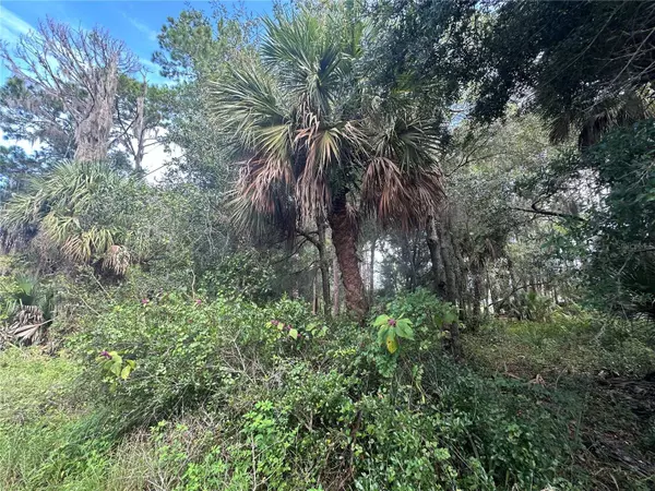 PERVIS LN, Osteen, FL 32764