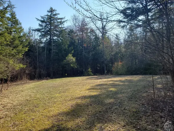 66 Harra Rd, Jewett, NY 12444