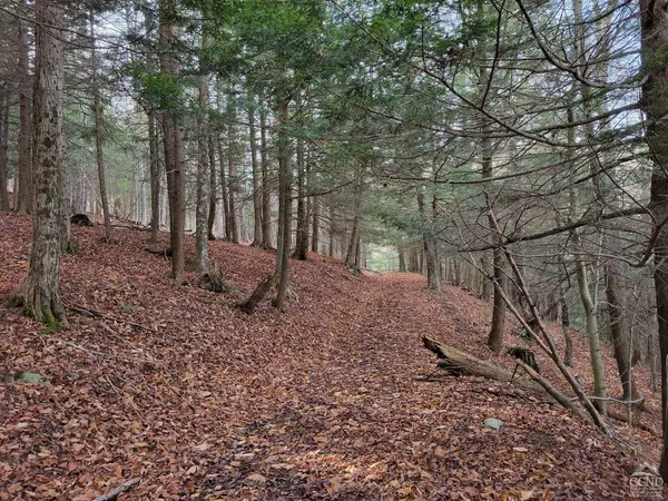 66 Harra Rd, Jewett, NY 12444