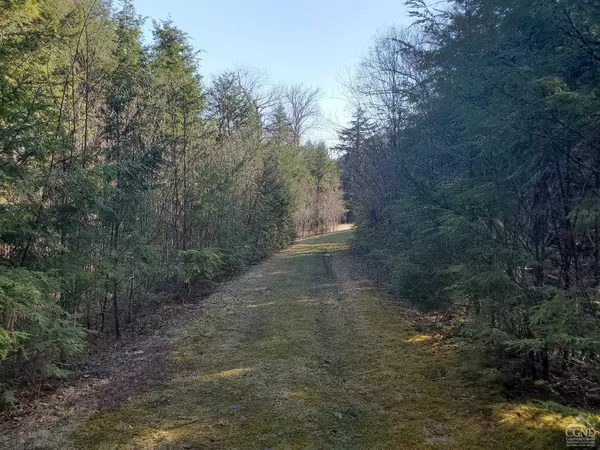 66 Harra Rd, Jewett, NY 12444