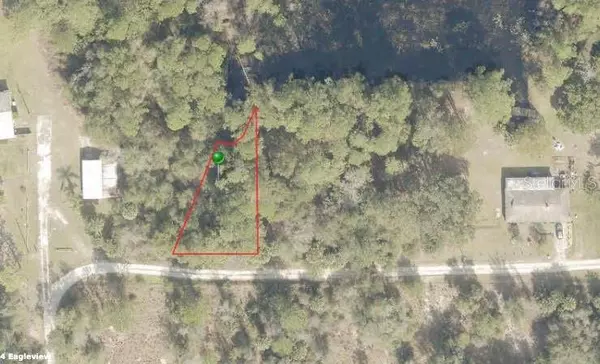 PERVIS LN, Osteen, FL 32764