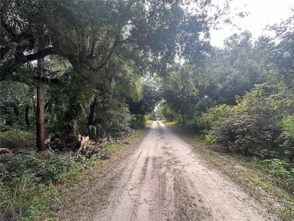 PERVIS LN, Osteen, FL 32764