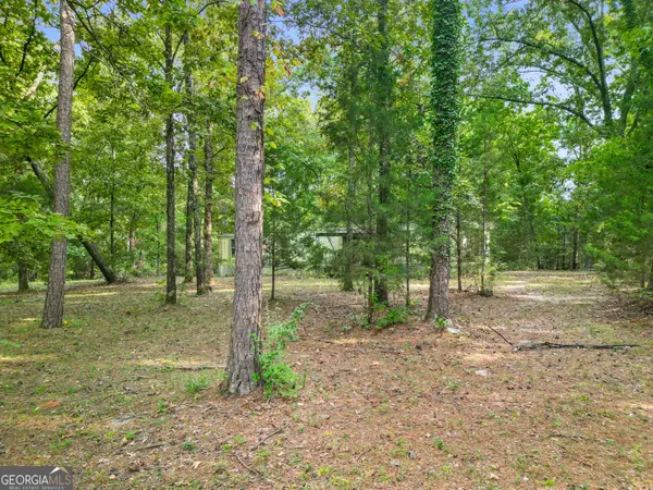 128 Deep South RD, Senoia, GA 30276