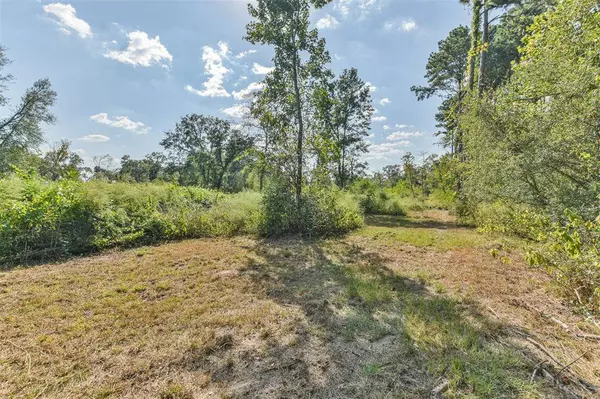 21527 Roberts Cemetery RD, Hockley, TX 77447