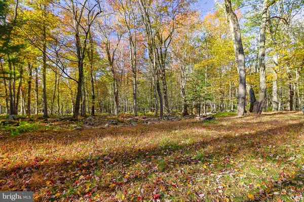 1083 APOLLO DR, Gouldsboro, PA 18424