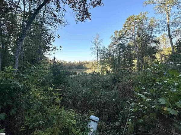 258 & 261 Piper Lane, Pickens, SC 29617