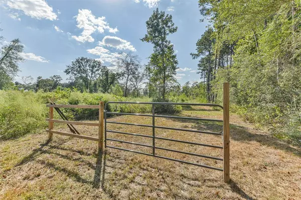 21527 Roberts Cemetery RD, Hockley, TX 77447