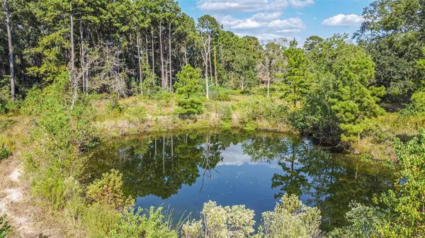 21527 Roberts Cemetery RD, Hockley, TX 77447